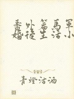 番外篇马军刘艳婚后生活小说封面