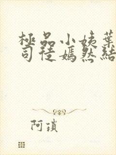 极品小姨叶凡和司徒嫣然结局