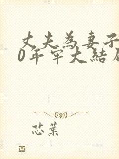 丈夫为妻子坐30年牢大结局