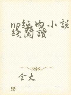 np纯肉小说在线阅读
