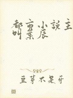 都市小说主人公叫叶辰