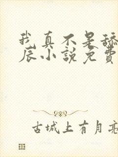 我真不是舔狗叶辰小说免费阅读封面