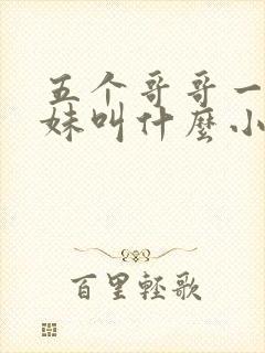 五个哥哥一个妹妹叫什么小说封面