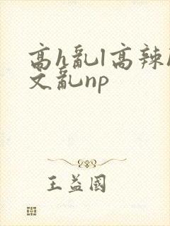 高h乱l高辣h文乱np