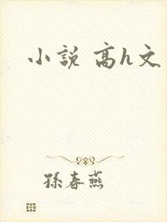 小说 高h文