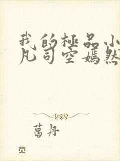 我的极品小姨叶凡司空嫣然小说免费阅读