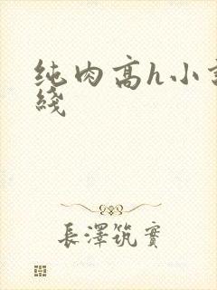 纯肉高h小说在线