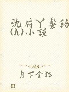 沈府丫鬟的淫史(h)小说