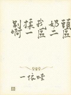 别揉我奶头～嗯啊一区二区