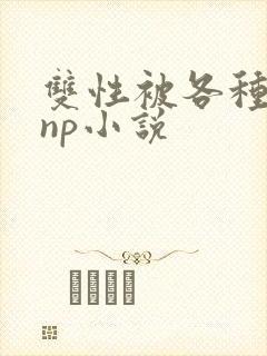 双性被各种淫玩np小说