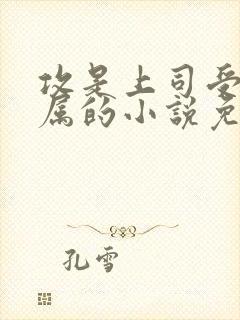 攻是上司受是下属的小说免费阅读封面