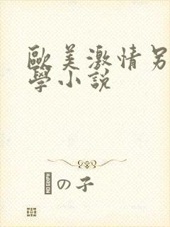 欧美激情另类文学小说