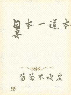 日本一道本人人妻