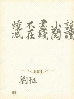 烧不尽小说无删减在线阅读