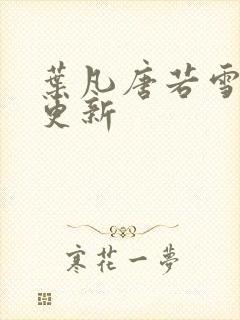 叶凡唐若雪王婿更新