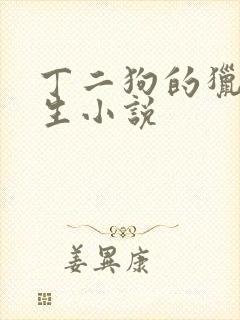 丁二狗的猎艳人生小说