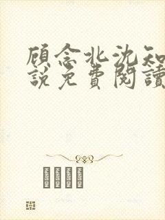 顾念北沈知宁小说免费阅读最新章节