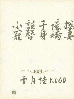 小说千亿总裁独宠替身娇妻完整版未删减小说封面