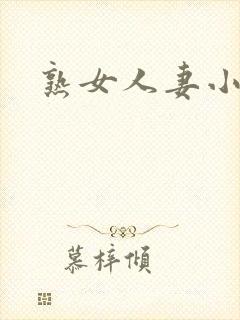 熟女人妻小说