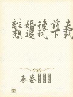 离婚后前夫总是想追我下载txt全集