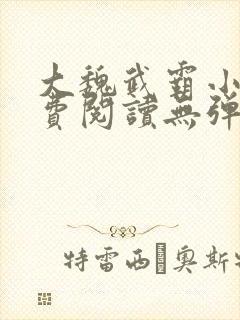 大魏武霸小说免费阅读无弹窗