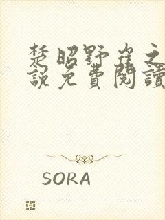 楚昭野崔之棠小说免费阅读最新章节