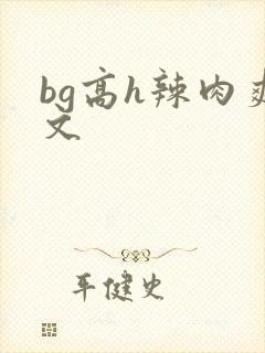 bg高h辣肉爽文