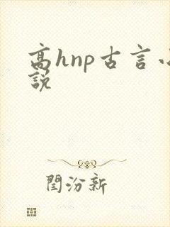 高hnp古言小说