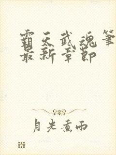 霸天武魂笔趣阁最新章节