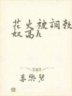 花火被调教成肉奴高h