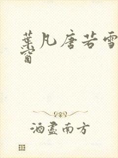 叶凡唐若雪无弹窗