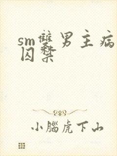 sm双男主病娇囚禁