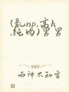 (乱np,高h,纯肉)男男