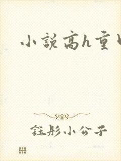 小说高h重口封面