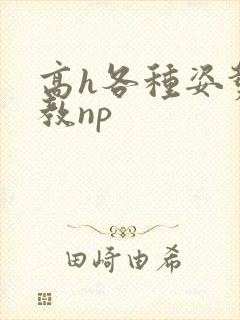 高h各种姿势调教np