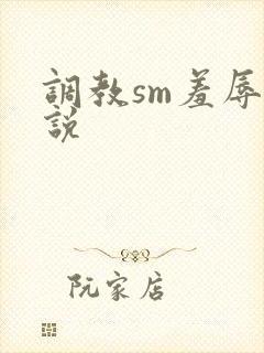 调教sm羞辱小说