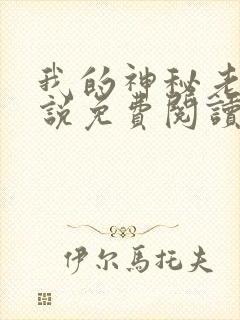 我的神秘老公小说免费阅读全文