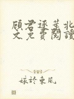 顾君逐叶北北全文免费阅读