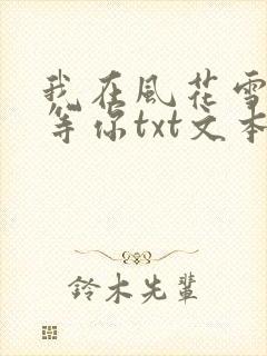 我在风花雪月里等你txt文本