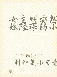 女主叫安然男主姓陆琛的小说