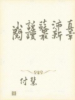 小说苏沛真全文阅读最新章节更新时间