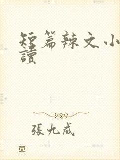 短篇辣文小说阅读