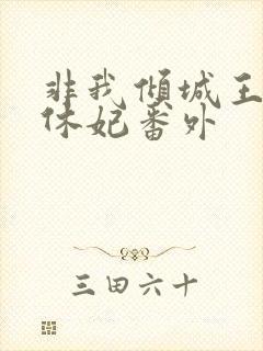 非我倾城王爷要休妃番外