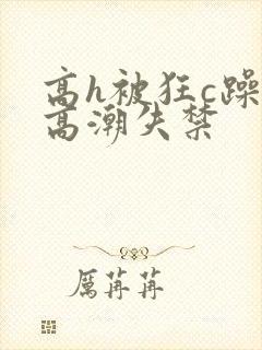 高h被狂c躁到高潮失禁封面