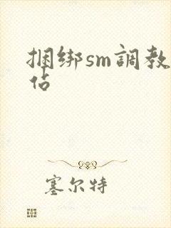 捆绑sm调教网站封面