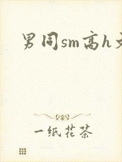 男同sm高h文封面