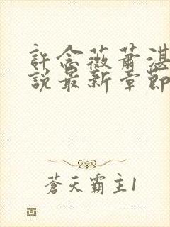 许念薇萧湛明小说最新章节免费阅读