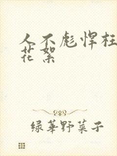 人不彪悍枉少年花絮