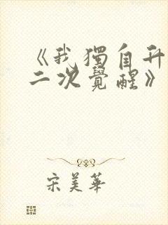 《我独自升级:二次觉醒》