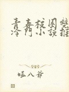 青春校园双男主冷门小说推荐